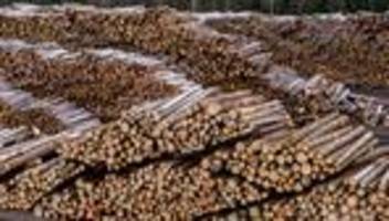 Holzimperium: Nach Ziegler-Insolvenz weiter Ermittlungen gegen Manager