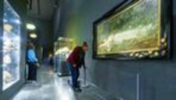 kunst: wiesbadener museum wappnet sich für swiftie-ansturm