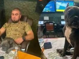 Wirbel um Fotos mit Hund: Ukrainischer Kommandeur soll auf Tiktok geheime Gefechtskarten gezeigt haben