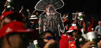 michy batshuayi und lewis hamilton: wenn sportstars um ihre haustiere trauern