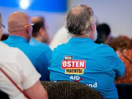 Soziale Medien: Die AfD ist im Netz eine Bewegung. Alle anderen sind nur Parteien