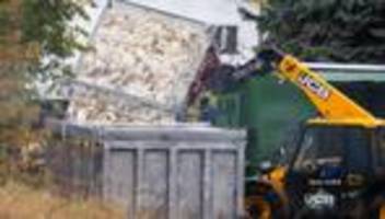 Tierseuche: Vogelgrippe breitet sich aus – Stallpflicht greift