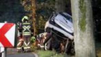 Unfallstatistik: Weniger tödliche Unfälle an Straßenbäumen in Brandenburg