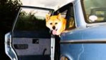 verbrenner-aus: german reichweitenangst gibt gas