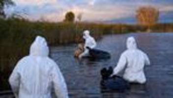 Vogelgrippe: Virologe warnt angesichts der Vogelgrippe vor neuer Pandemie