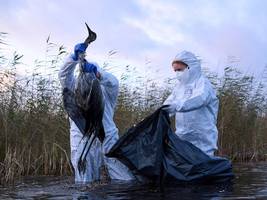 artensterben: „das virus findet immer neue wirte“