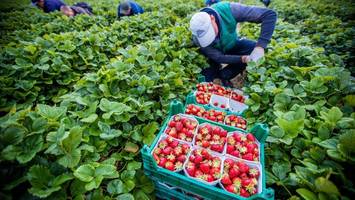 14,60 Euro pro Stunde: Kabinett beschließt Mindestlohnerhöhung