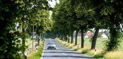 Verkehrstote in Deutschland: Täglich stirbt mindestens ein Mensch bei Unfall an Straßenbaum
