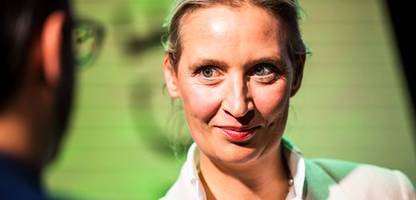 Wahljahr 2026: AfD strebt mit West-Ost-Strategie nach Wahlsieg