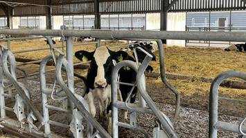 In diesem Dorf hat die Zukunft der Landwirtschaft schon begonnen