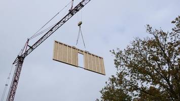 mehr platz: tierheim elmshorn investiert  – und wächst in die höhe