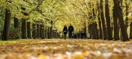 kein witz: slowakei beschließt tempolimit für fußgänger