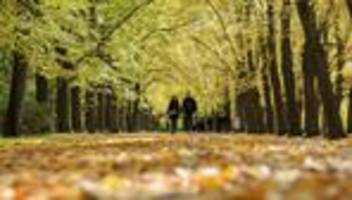 bilanz des dwd: warmer oktober in sachsen-anhalt