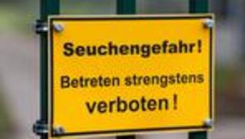 Geflügelpest: Vogelgrippe: Strengere Regeln für Ausstellungen und Zukauf