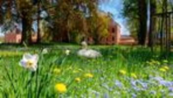 Michel Friedman in Klütz: Was zur Hölle geschah denn nun wirklich in Klütz?