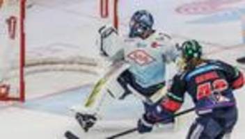 Transfer in der DEL: Zugang aus Dresden: Keeper Hudacek wechselt nach Bremerhaven