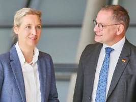 Tief beunruhigt: Rechtspopulisten laden AfD-Spitze zu Treffen in Washington ein