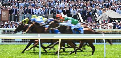 galoppsport: tierschützer berichten von 175 toten rennpferden innerhalb eines jahres in australien