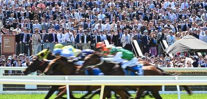 Galoppsport: Tierschützer berichten von 175 toten Rennpferden innerhalb eines Jahres in Australien