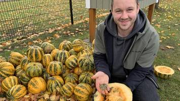 echt kernig: dieser heide-bauer setzt auf seltenes superfood