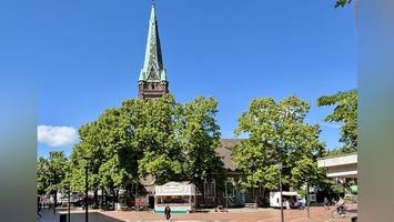 Elmshorn: Wellness für die Bäume – mit „Vitalspritze“ und Spaten