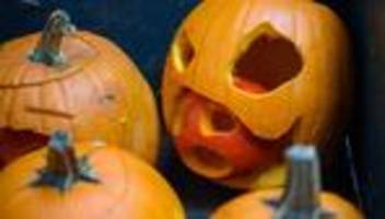 halloween: wo man sich in sachsen-anhalt erschrecken lassen kann