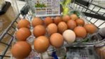 Haushaltsstreit: Shutdown: Amerikaner können doch auf Lebensmittelgeld hoffen