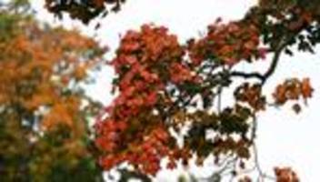 milde temperaturen: wettermix aus sonne und regen am wochenende in niedersachsen