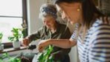 Rentensystem: Arbeitgeberpräsident fordert von CSU Verzicht auf geplante Mütterrente