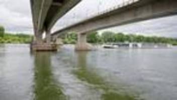 Umweltschutz: Pilotstudie untersucht Artenvielfalt im Rhein