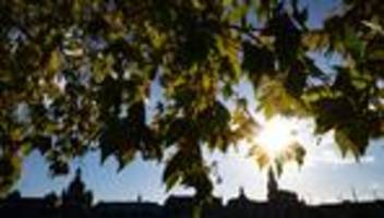 wetterausblick: goldenes herbstwetter am reformationstag