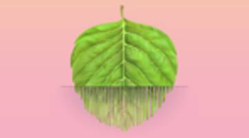 Europäischer Emissionshandel: So sabotiert man sich selbst