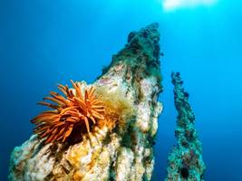 Grönland: Die Säulen des Meeres sind in Gefahr