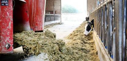 milchviehhalter sehen existenzen durch preisverfall bedroht