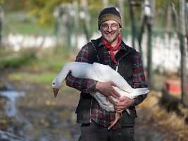 Bauer in Angst vor Vogelgrippe: Ein Häufchen Vogelkot reicht aus, um die ganze Herde zu bedrohen