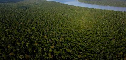 COP30 in Belém: Klimaverhandlungen als Kampfsportart – Kolumne