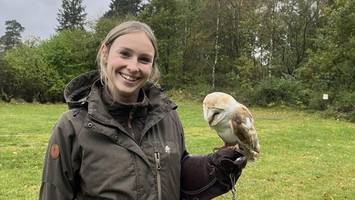 Auf Tuchfühlung mit dem Kauz: Wo man mit Eulen wandern gehen kann