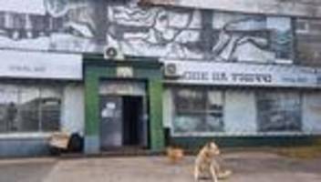 havariertes atomkraftwerk: rätsel um blaue hunde in tschernobyl ist gelöst