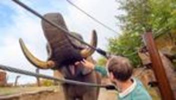 Tiere: Erster Landeszootag in Sachsen-Anhalt