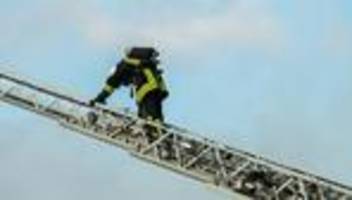 Weggeflogen: Feuerwehr rettet Papagei mit Drehleiter vom Dach