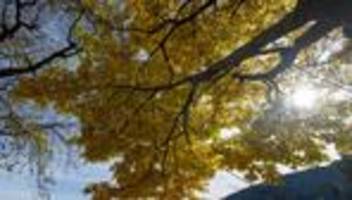 Wetter: 20,4 Grad in Garmisch zum Beginn der Herbstferien