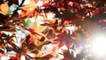 wetter: kaum regen und bis zu 19 grad in nrw erwartet