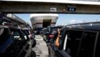 Spanien: 27 Jagdhunde bei Schiffsüberfahrt nach Mallorca verendet