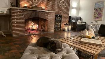 In der Heide übernachten: Sieben Adressen für gemütliche Auszeiten