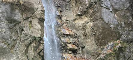 Neongrünes Wasser in Oberbayern: Unbekannte färben Lainbach ein