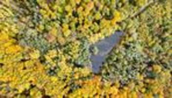 milde herbsttage: sonne und milde temperaturen prägen wochenstart in hessen