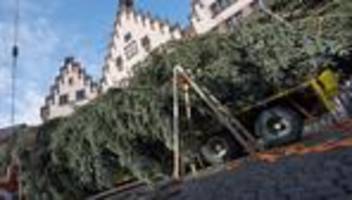 tradition am römer: frau holle ist in frankfurt angekommen