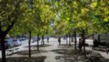 klimawandel: berlin pflanzt hunderttausende bäume – für mehrere milliarden euro
