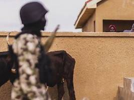 Ich stelle mir vieles vor: Trump droht Nigeria mit Bodentruppen und Luftangriffen