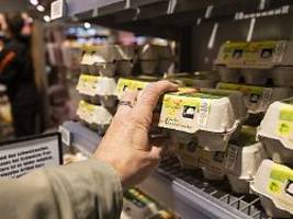 sorge wegen vogelgrippe: geflügelfleisch und eier finden reißenden absatz